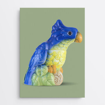 Tweety Parrot + Calypso Anne + Beaky Parrot